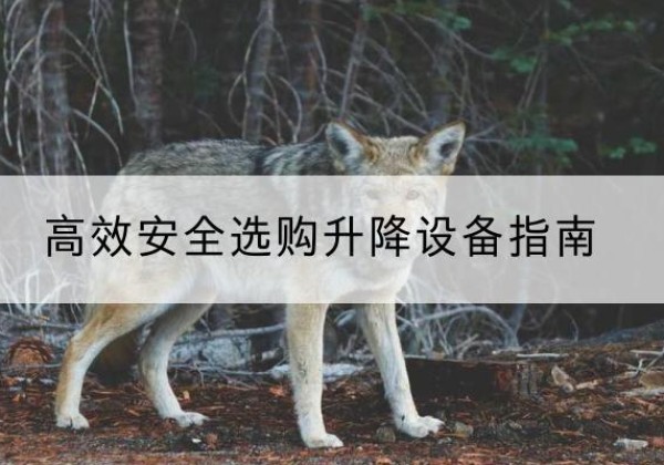扶余升降货梯厂家推荐-*安全选购升降设备指南