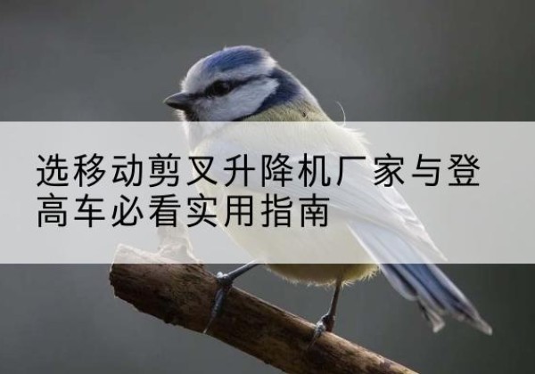 扶余电动升降机厂家-选移动剪叉升降机厂家与登高车必看实用指南